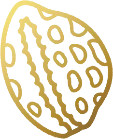 Consulta aos Búzios